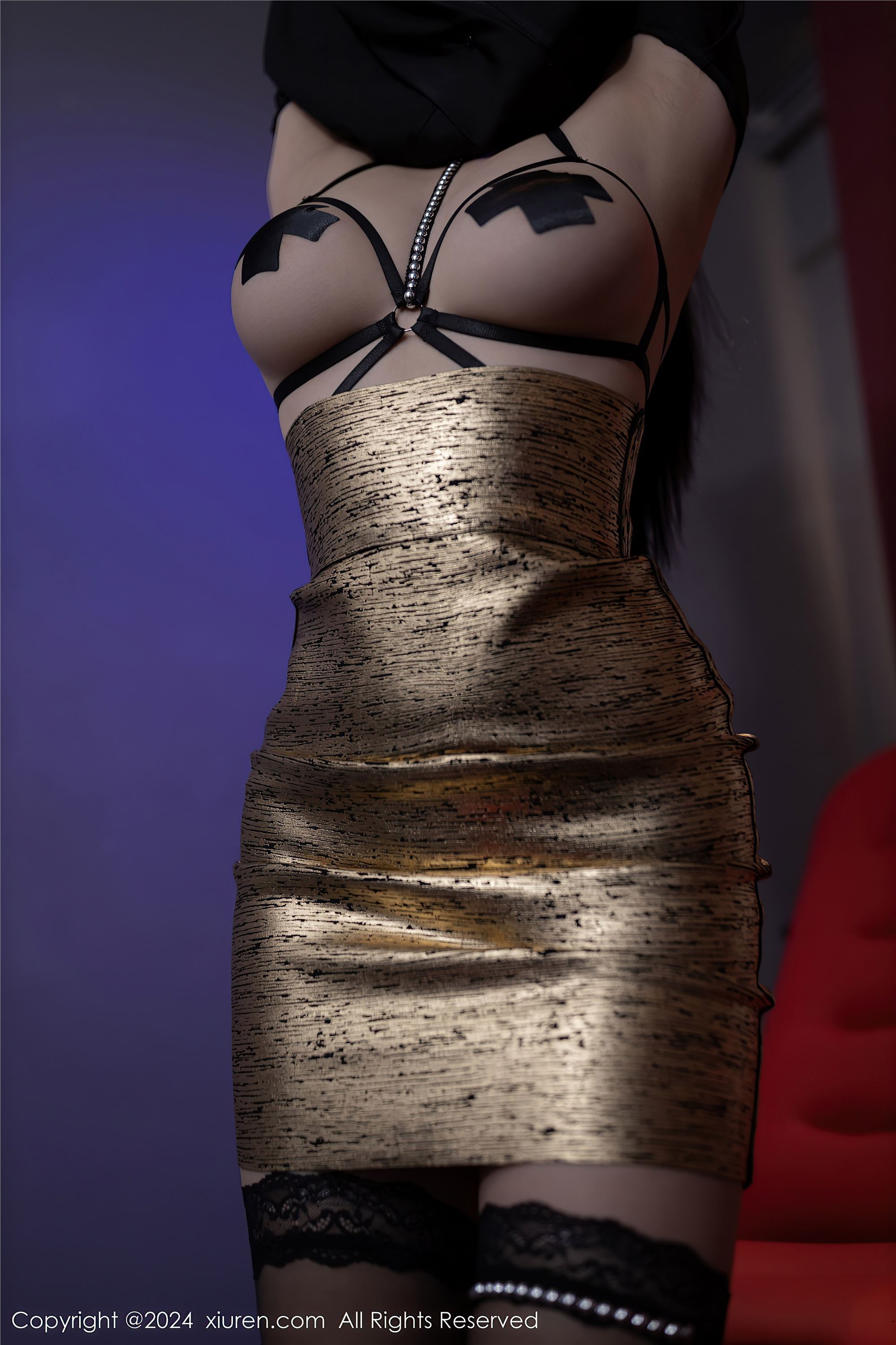 Xiuren秀人网 2024.03.26 NO.8292 安然anran